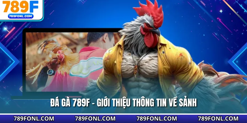 Đá gà 789F - Giới thiệu thông tin về sảnh
